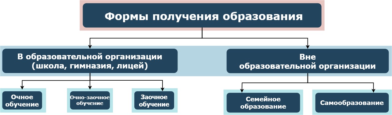 Очная форма обучения это бесплатное виза в словакию размер фото